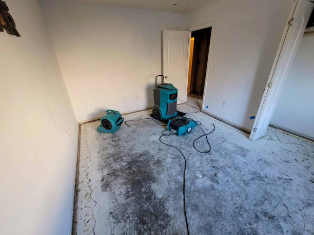 Best Carpet water damage restoration  in Fairmount, TN