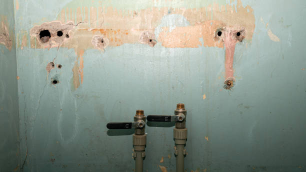 Best Residential water damage restoration  in Fairmount, TN