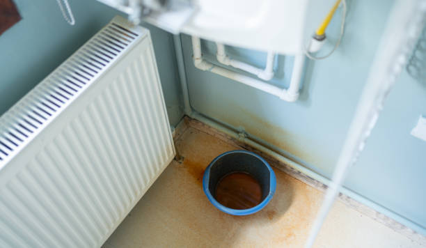 Best Sewage cleanup and water damage restoration  in Fairmount, TN